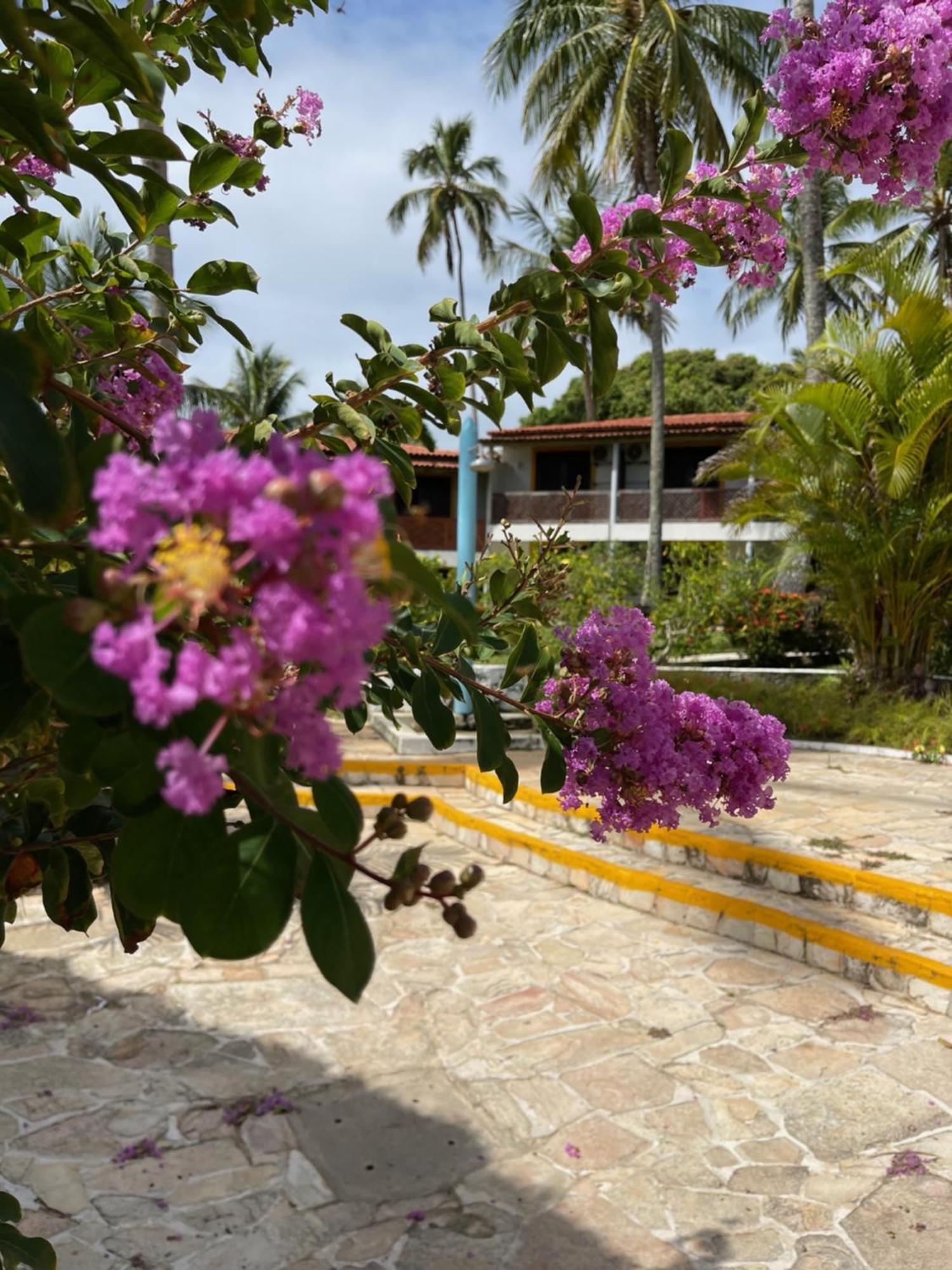 Bitingui Praia Hotel Japaratinga Exterior foto
